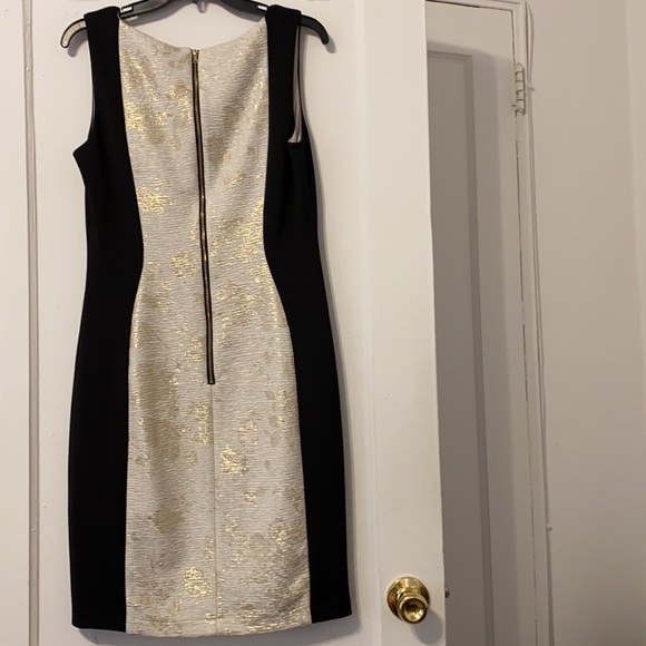 Gorgeous JAX Evening Dress Size 10 - Picture 4 of 6